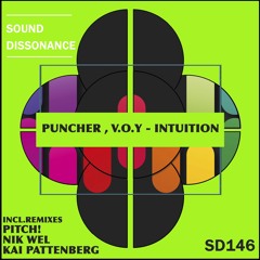 Puncher, V.O.Y - Intuition (PITCH! Remix)