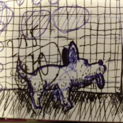 Honden In Hun Kot