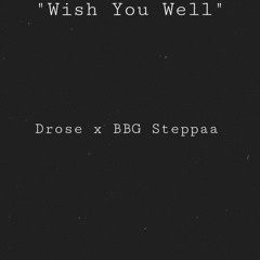 Wish You Well (feat. BBG Steppaa)