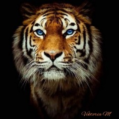 Melodic_Techno / 01-2022