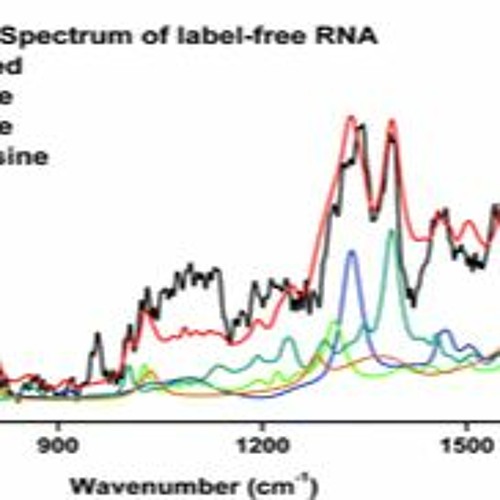 Stream RNA Spectrum (with Pete Swinton) (Soundcloud Mastered Version ...