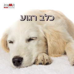 טיול על החוף