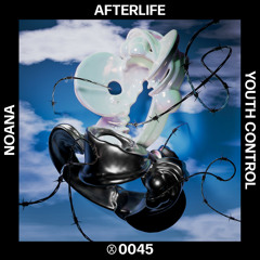Afterlife (Artie & Noana Downpressure Remix)