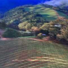 [22 - 07 - 2022 181240] Minimal Ambient