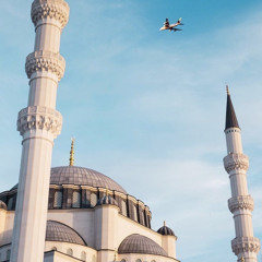 " الذين صبروا وعلى ربهم يتوكلون "