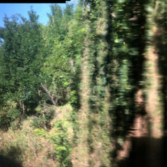 Képeshang #86 - Gyenis Nóri és Abonyi Zsolt