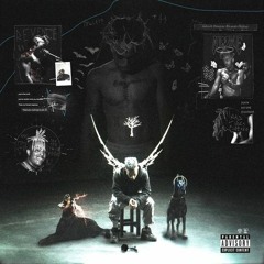 PLAYBOI CARTI - CUTTER* (FEAT. TRAVIS SCOTT) [FANMADE]