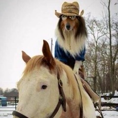 Stronger (Kanye x Daft Punk x Oxford)