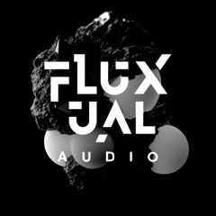 Fluxual Audio: WARMVN B2B SHED - 12/04/2025
