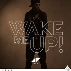 Wake Me Up Avicii So wake me up when it's all over