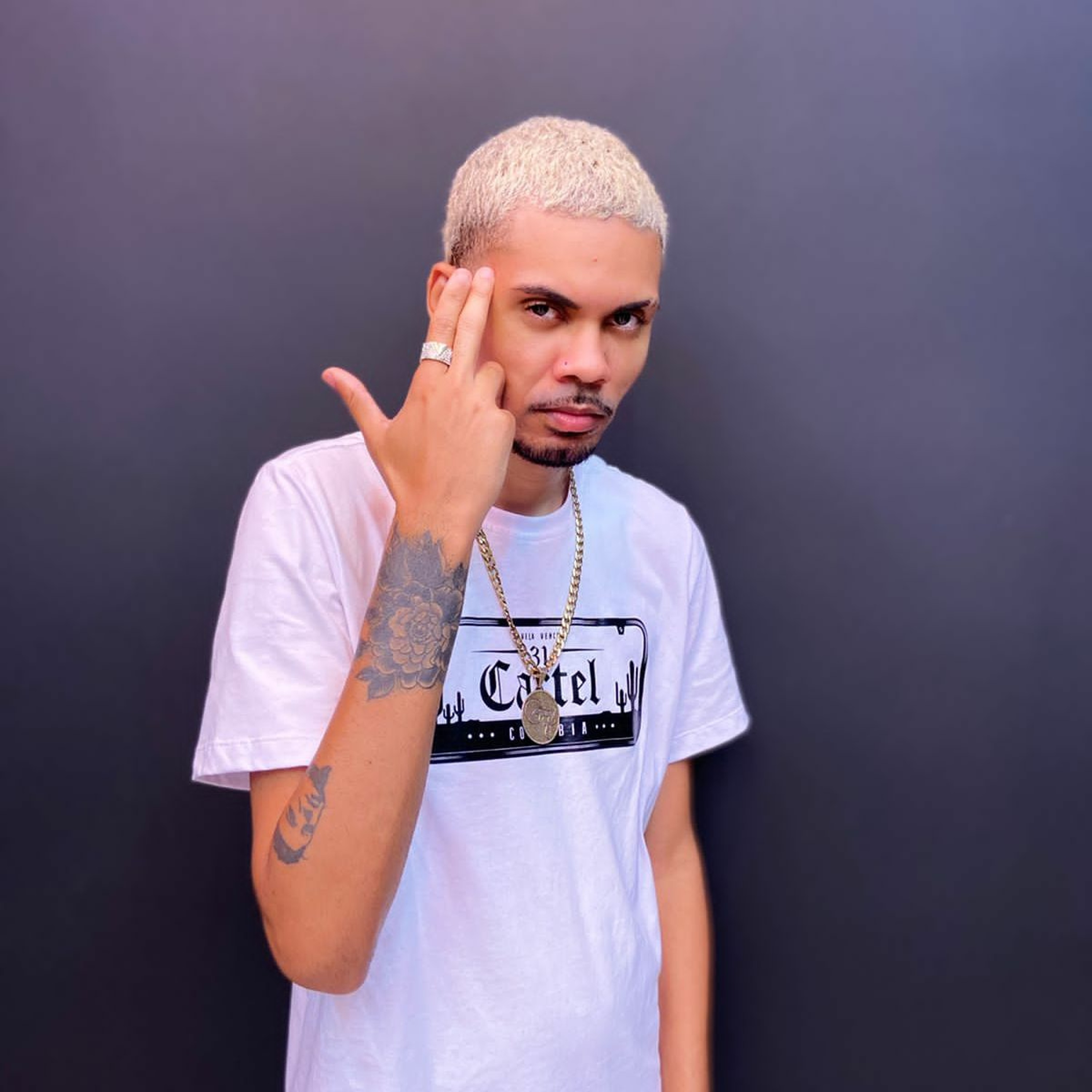 Vagabundo dos bons
