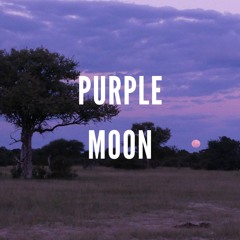 Someday Isle | Purple Moon
