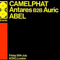 🐪 Camelphat Koko 🐪
