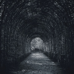 Deep In The Void