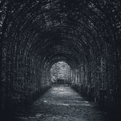 Deep In The Void