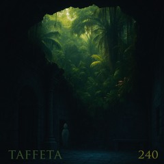 TAFFETA | 240