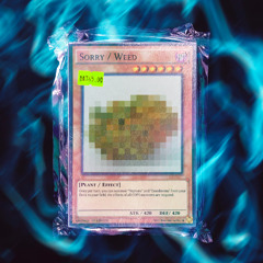 SORRY/WEED (feat. EsseDiSvmu)