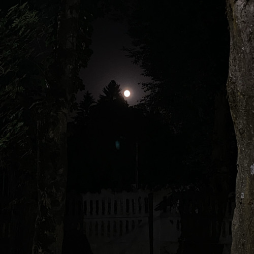 stream-we-are-sleep-x-flowers-x-nights-chill-mix-with-d-v-l-z-t-n