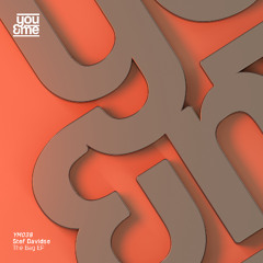 Stef Davidse - Run It [preview]