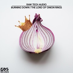 Raw Tech Audio - The Lord of the Onion Rings [GDS001]