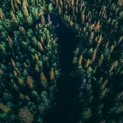 #26 - Digitalisering av samhällsbyggnadsprocessen