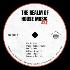 "The Realm Of House Music" V.A.