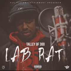 Talley of 300 - Lab Rat