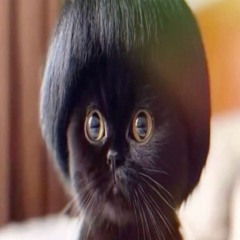 H4RRY h4h4 chromes.m4a