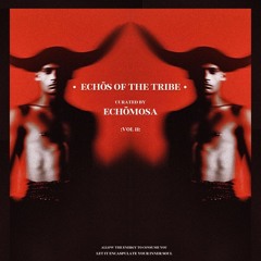 EchöMosa - Echos Of The Tribe 011