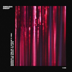 Darius & Finlay x Kraiz x Aili - Bring Me Back To Life