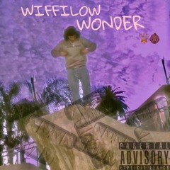 JP Ft PMF //@FAO.wiffilow