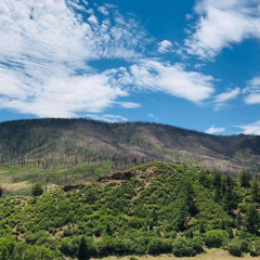 Eternal <3 interlude