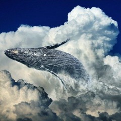The_dream_of_a_whale_(inst.)_Prod._COSTA