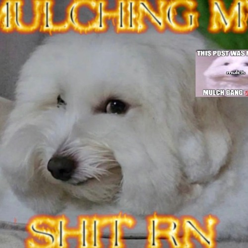 Stream MULCH IS HERE! MULCH IS HERE! by Pidiop Listen online for free