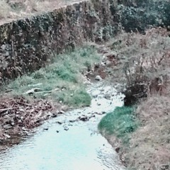 dissection of a paradigm shift