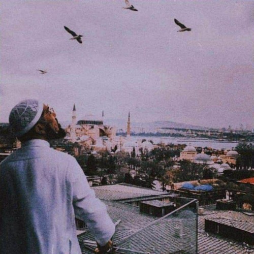 قُل لَّا أَمْلِكُ لِنَفْسِي نَفْعًا وَلَا ضَرًّا إِلَّا مَا شَاءَ اللَّهُ | هيثم الدخين