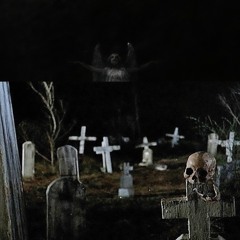 stupidbrain - friday the 13th 🐇