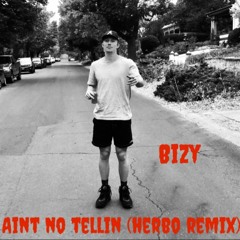 Aint No Tellin  (Herbo Remix)
