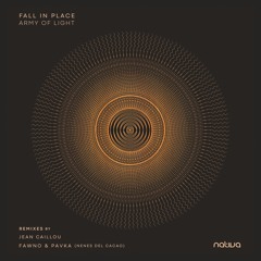 Fall In Place - Army of Light
