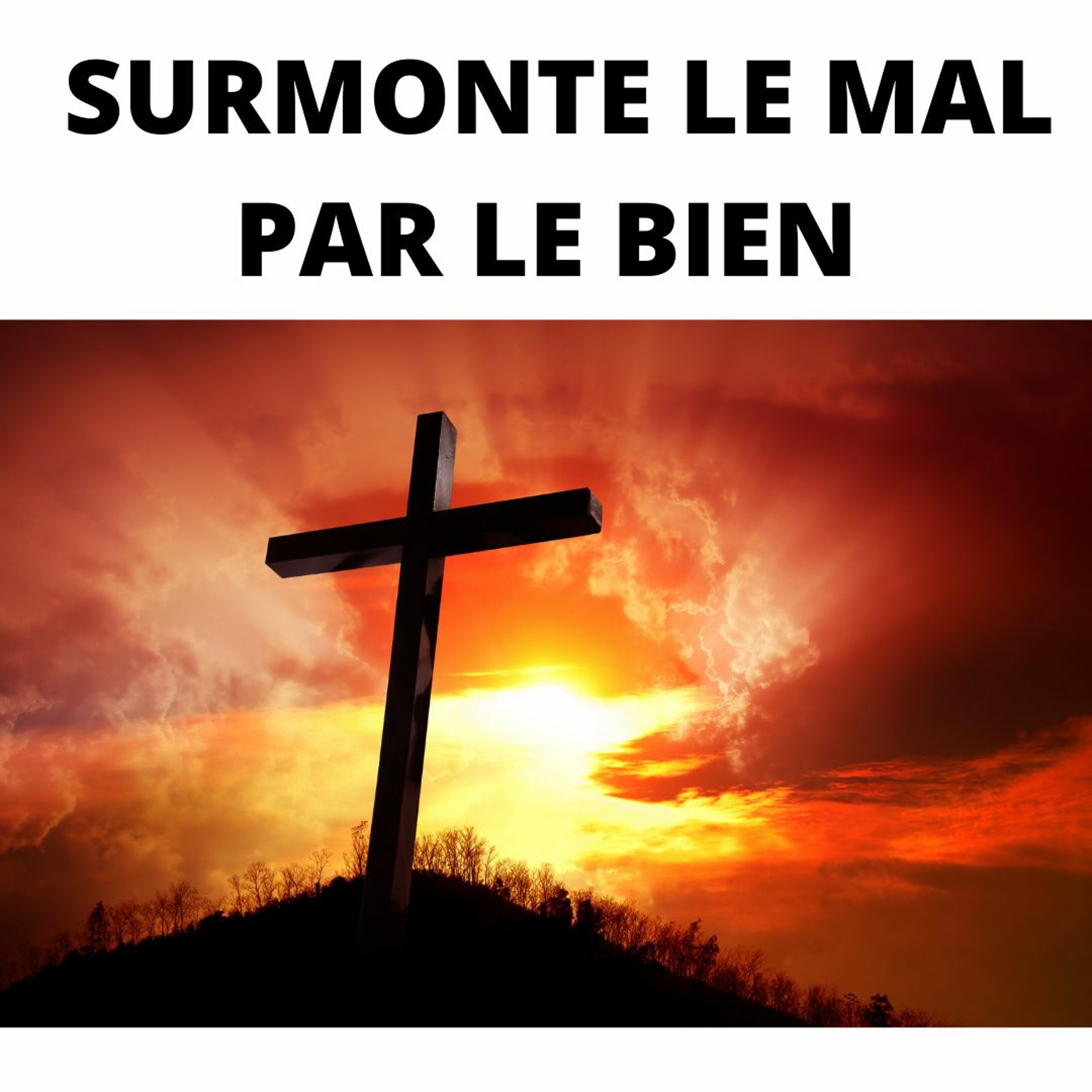 365Histoires
