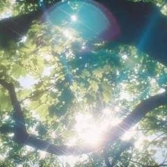gracetouchedoasis - pinch me if im dreaming (prod. dreamnote + rydr) [DJ Estefan Exclusive]