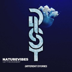 NatureVibes - Get the Moment (Original Mix)
