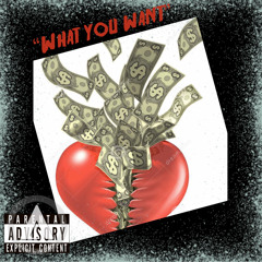 “ what you want “