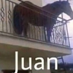 Rap do Juan (o cavalo voador)