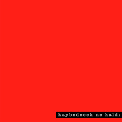 Kaybedecek ne Kaldı