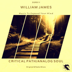 Critical Path [Deepsessions Recordings]