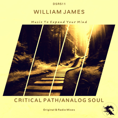 Critical Path [Deepsessions Recordings]