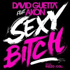 David Guetta feat. Akon - Sexy Bitch (Rizzo (Col) Edit) [Cut for Copyright] Buy on Bandcamp