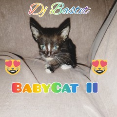 9.-BabyCat II