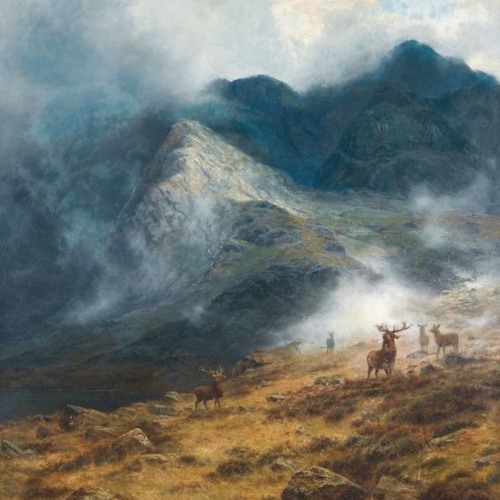 Alex Milo // Archive